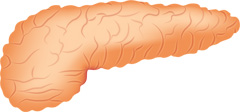 main_img